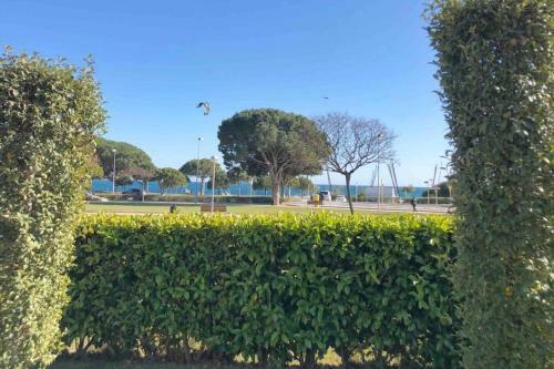 Apartament A Primera L�nia de Mar.