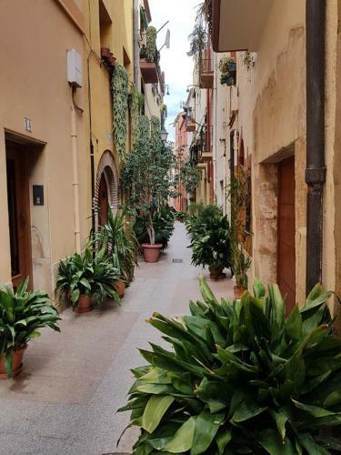Apartamento Canarias Cambrils