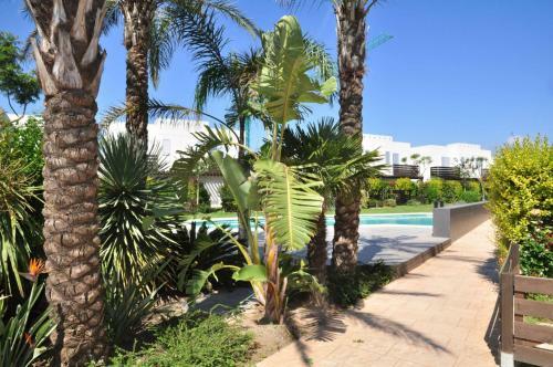 Casa Las Palmeras A 5km de Cambrils 12103 Family Complex