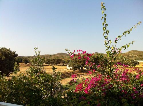 Hostal Porto Milos