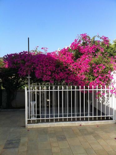 Hostal Porto Milos