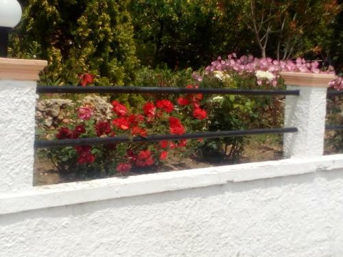 Apartamentos Villa Maria