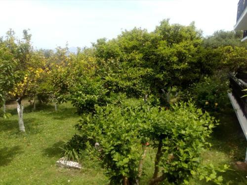 Apartamentos Villa Maria