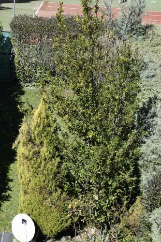 La Casita de La Sierra Cercedilla