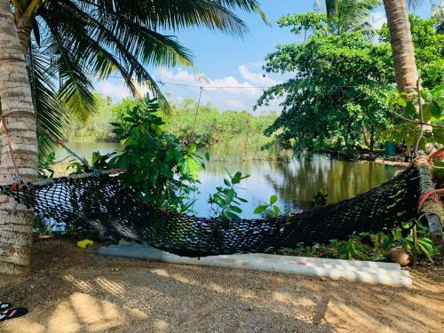 Hostal Ru Lagoon In