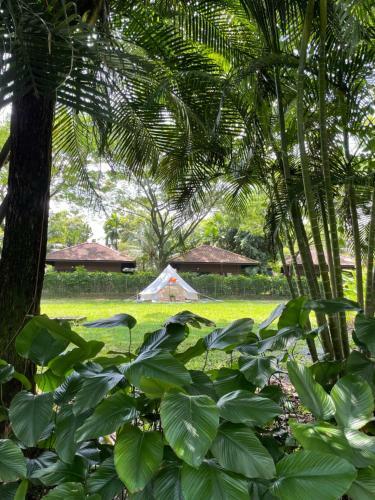 Glamping Resort @ Kranji