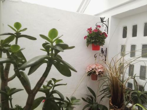 Apartamento La Flor de Mayo
