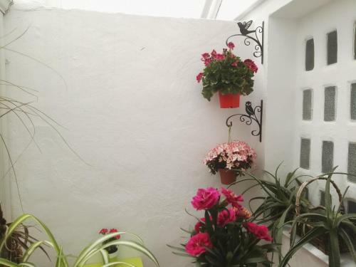 Apartamento La Flor de Mayo