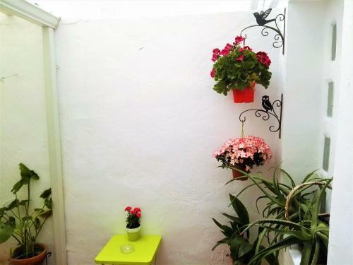 Apartamento La Flor de Mayo