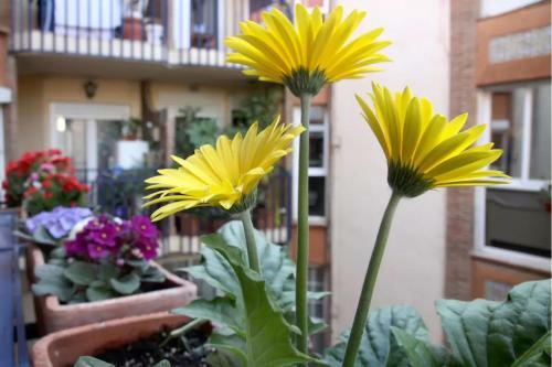 Apartamento Azahara