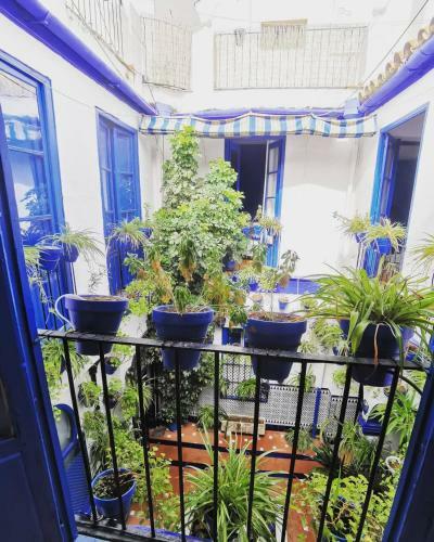 Hostal The Dreamers&co