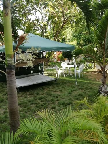 Hostal Casa Amigo
