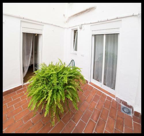 Apartamento La Peluquer�a