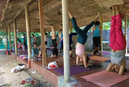 Bed & Breakfast Sambodhi Yoga Retreat