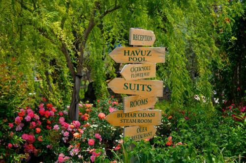 Hostal Olive Farm Of Datca Guesthouse