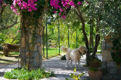 Hostal Olive Farm Of Datca Guesthouse
