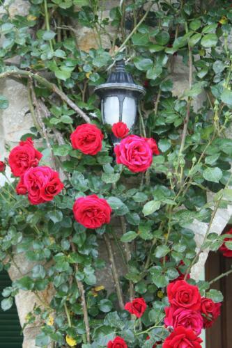 Hostal Olive Farm Of Datca Guesthouse