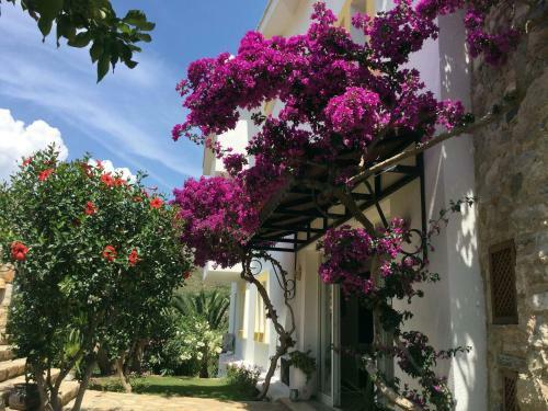 Hotel Villa Tokur