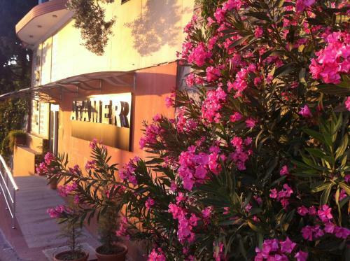 Hotel Atamer Doga Resort
