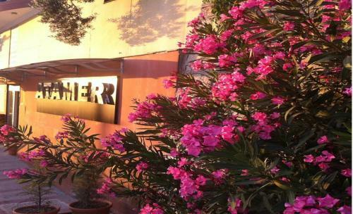 Hotel Atamer Doga Resort