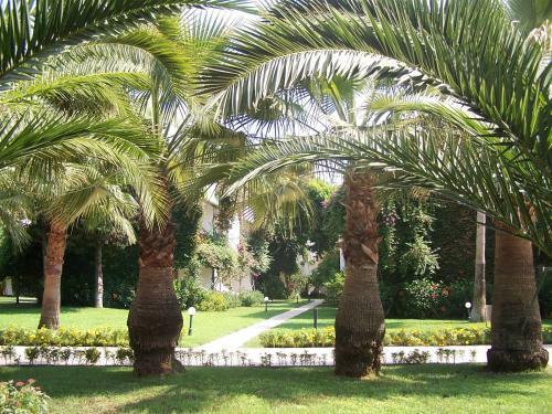 Hotel Club Boran Mare Beach