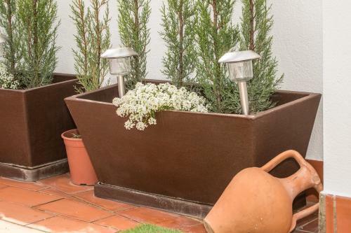 Apartamento �tico Azahar