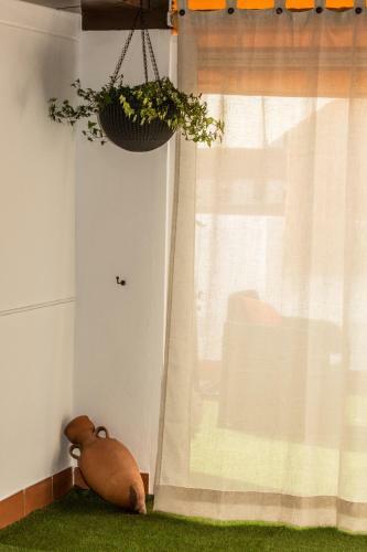 Apartamento �tico Azahar