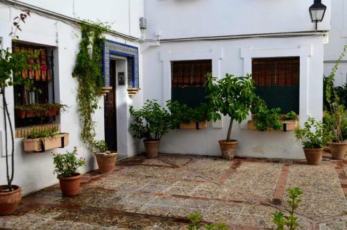 Apartamento El Patio de La Aljama