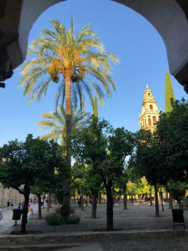 Apartamento El 5 de La Hoguera