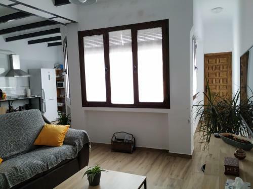 Apartamento Entre Patios Y Flores