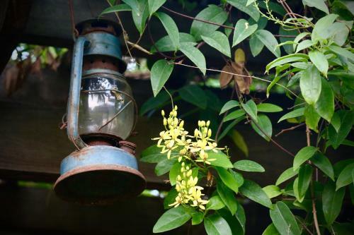 Bagan Billiken Hotel
