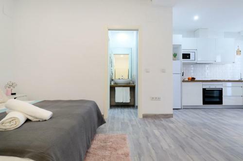 Apartamento Acogedor Loft En Bajo Centrico Con Parking Wifi