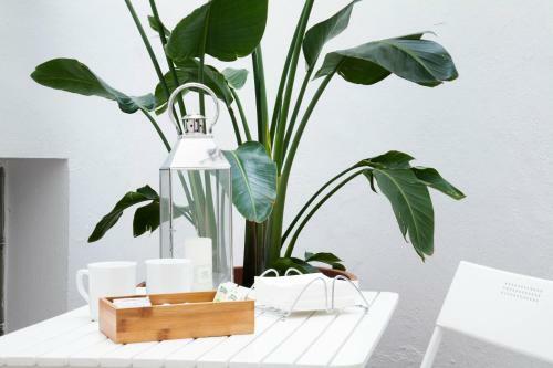 Apartamento Entrenaranjos