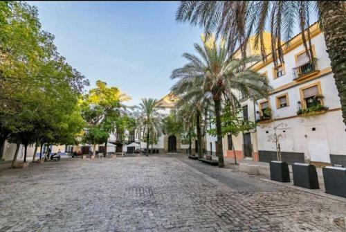Precioso Apartamento En Plaza de Las Ca�as