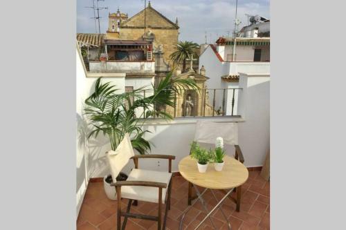 Casa de Dise�o A 200m de La Mezquita