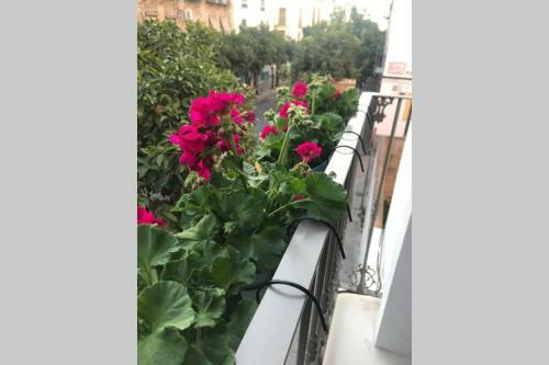 Casa de Dise�o A 200m de La Mezquita