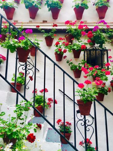 Apartamento Ribera Del Quivir