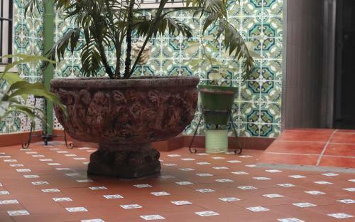 Apartamento Suny Mezquita