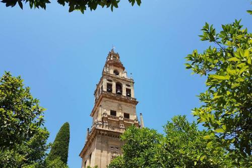 Apartamento San Pedro-corredera
