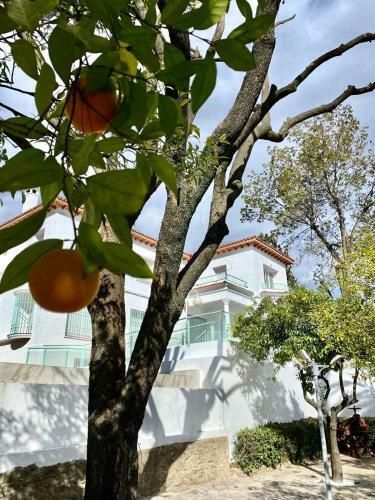 Apartamento Nuevo! Los Almendros 103 Complejo Tur�stico
