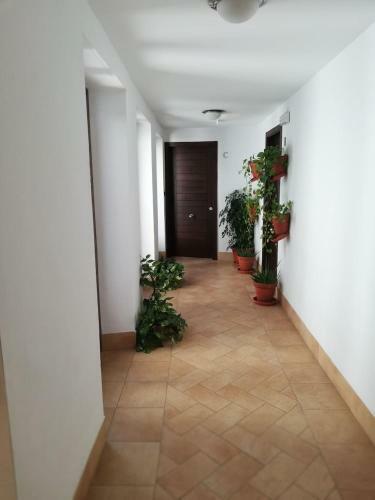 Apartamento Estudio San Pedro-corredera