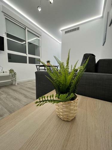 Apartamento Nuevo! Los Almendros 304 Complejo Tur�stico