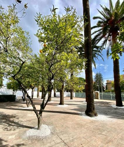 Apartamento Nuevo! Los Almendros 304 Complejo Tur�stico