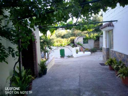 Agroturismo Casa El Pino