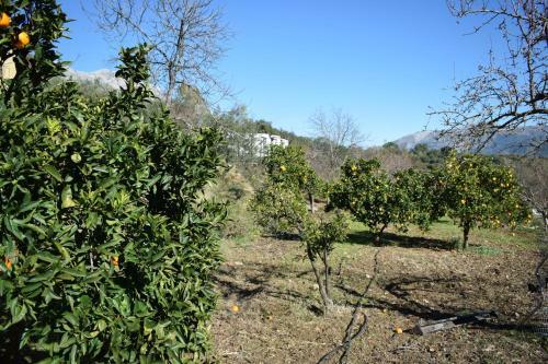 Agroturismo Casa El Pino