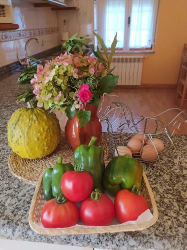 Apartamentos Casa Alvarina - Luarca