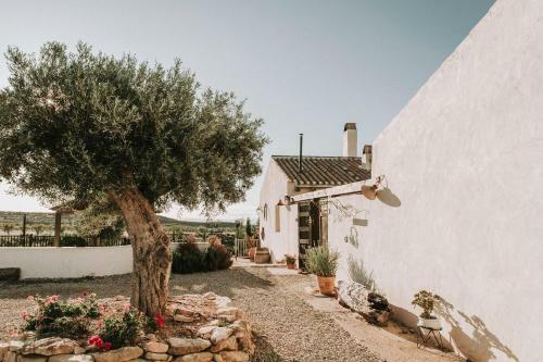 Finca El Pocico