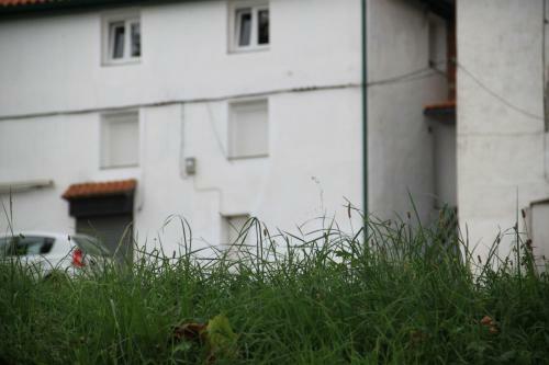 Apartamento Rural Zuri