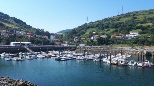 Apartamento Rural Zuri