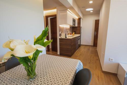 Apartamentos Mirador de Vid�o